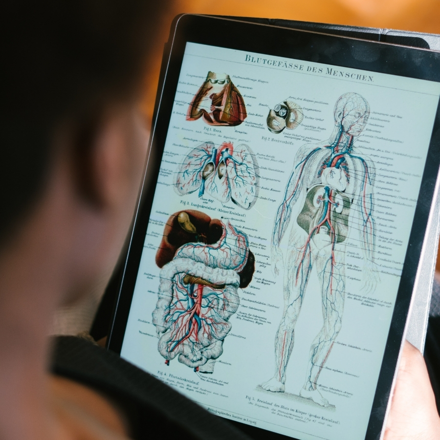 Yoga anatomy and physiology